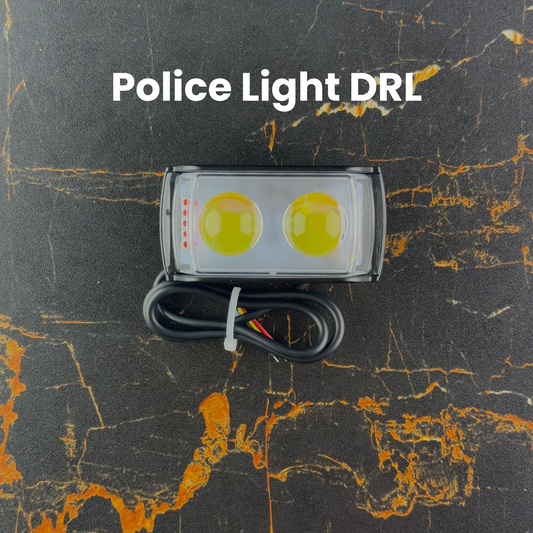 Single Dolphin Light Deal