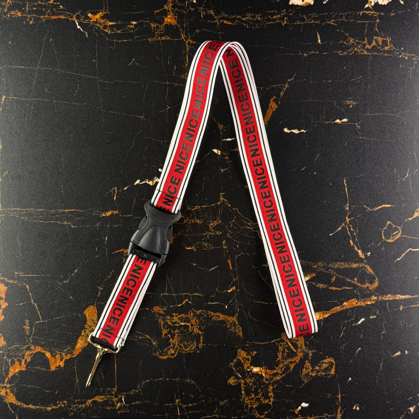 Bike Seatbelts