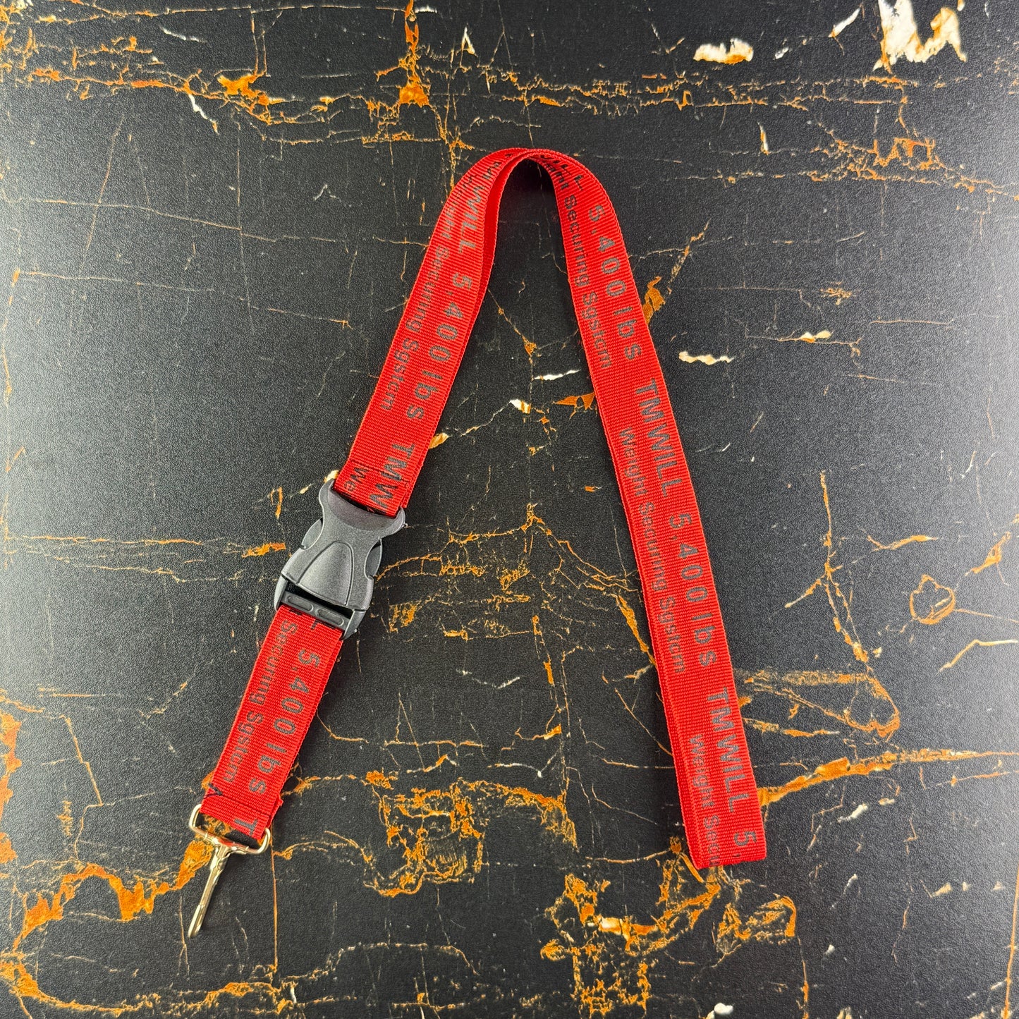 Bike Seatbelts