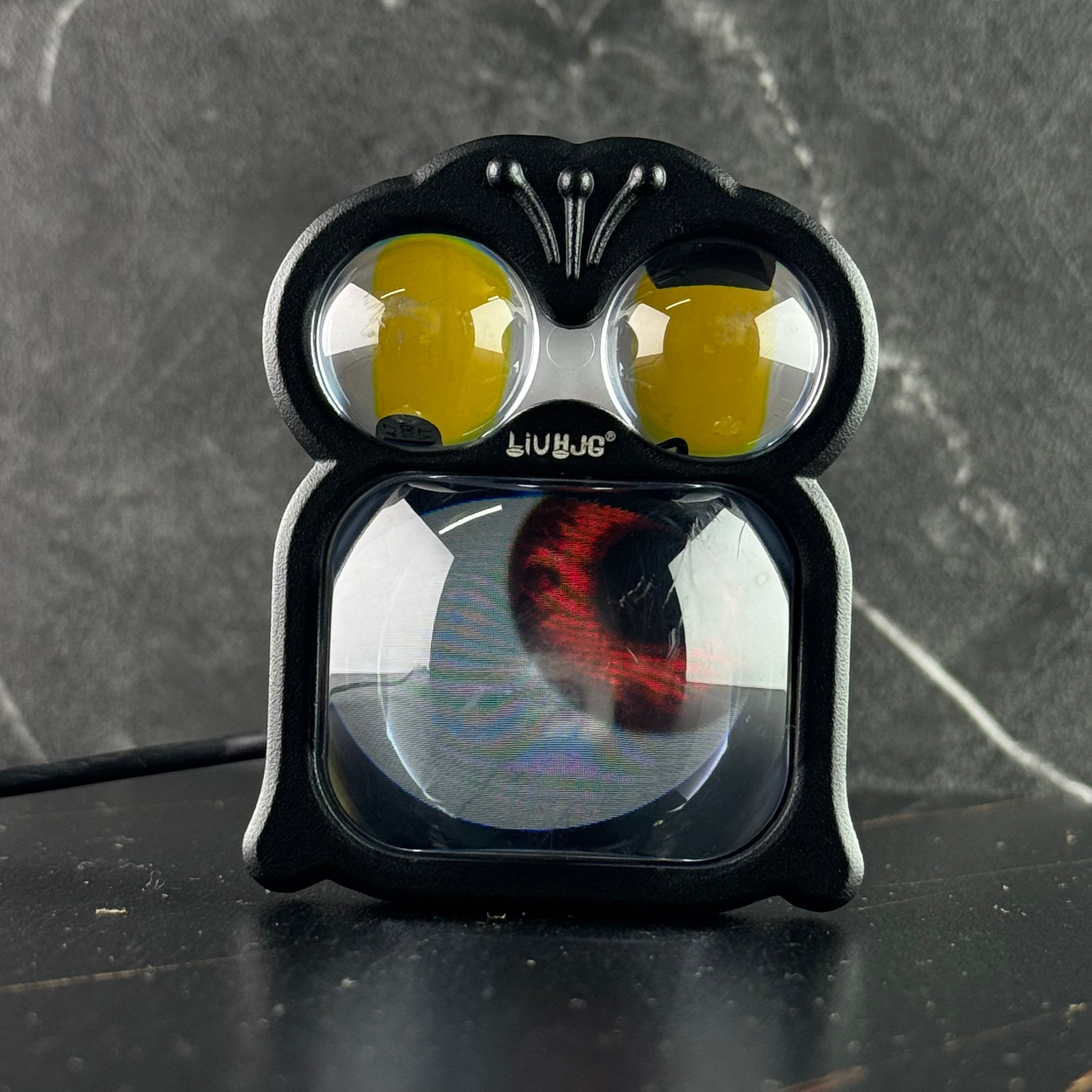 HJG Eye Display with Projector Lens – Cham Store