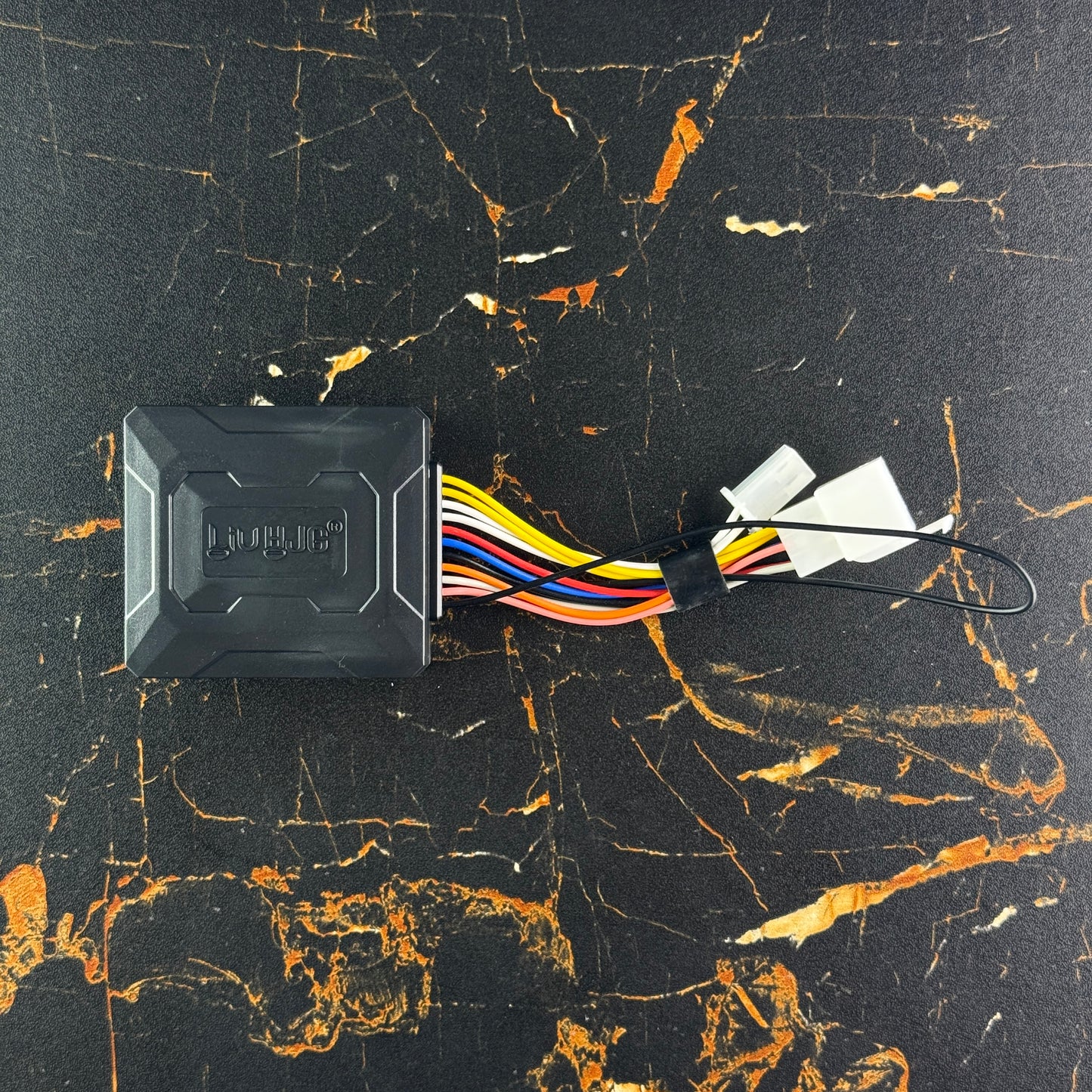LUI HJG Electric Vehicle Anti-Theft Device